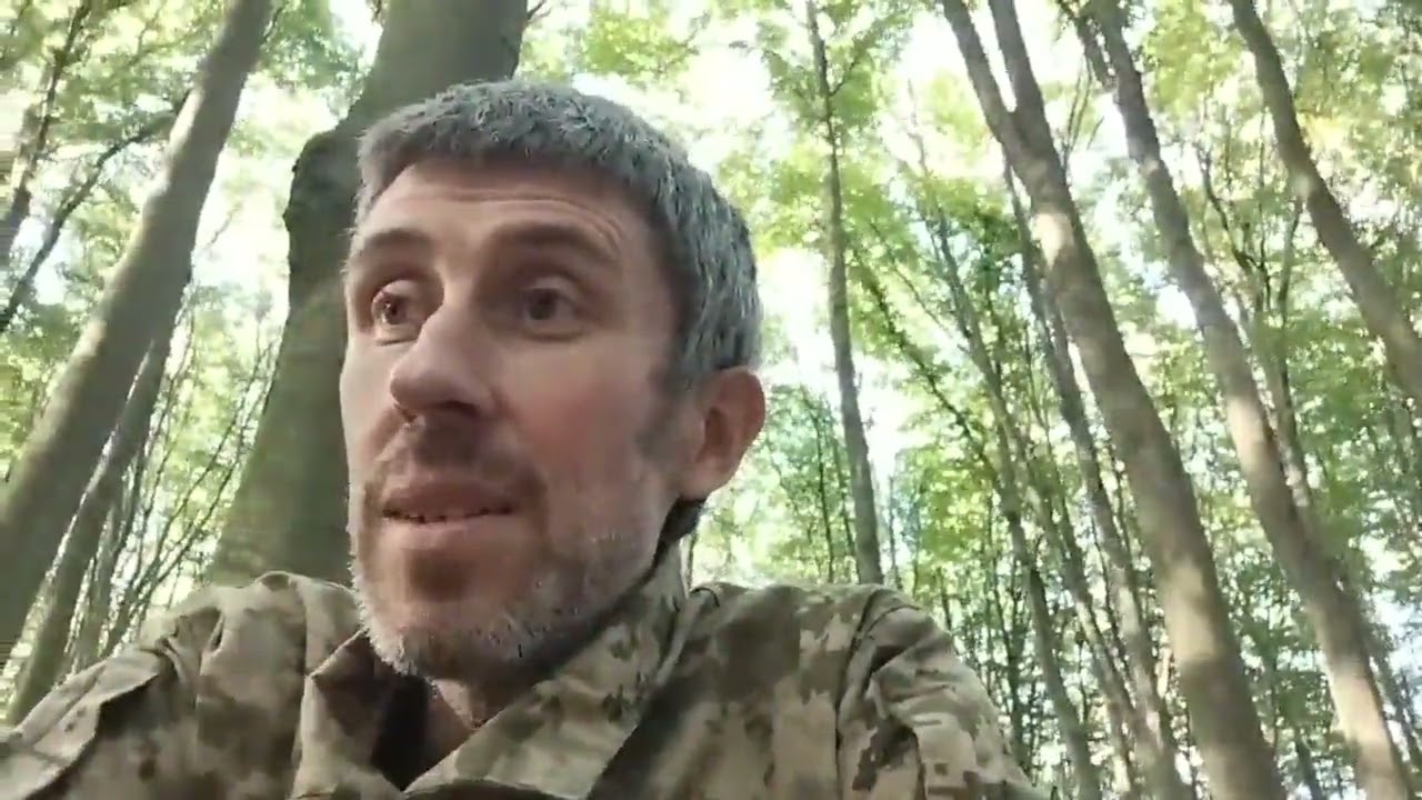 Про ВЛК
