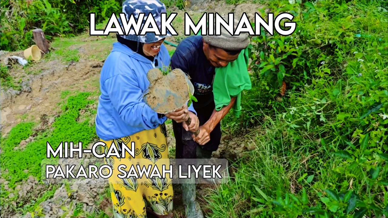 LAWAK MINANG TERBARU | MIH-CAN - PAKARO SAWAH LIYEK | MINANG LUCU | MINANG BAGARAH | KOCAK