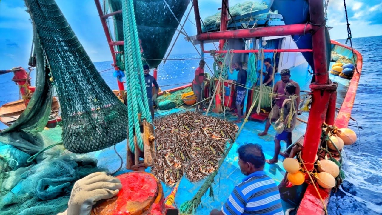 🤩Mangalore Trawler Fishing | Today Caught Aranai Fish | 05Day