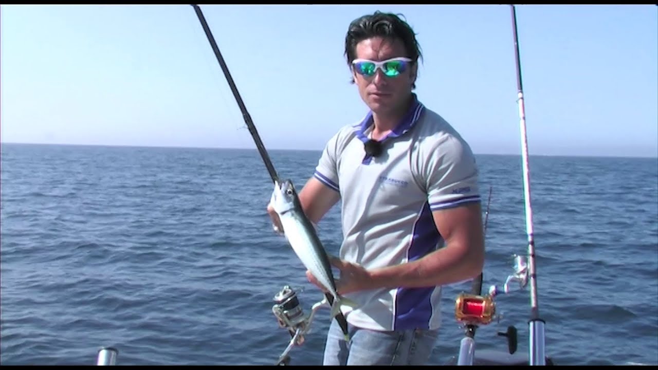 Trabucco TV - Pesca In Mare - Light drifting al pesce azzurro