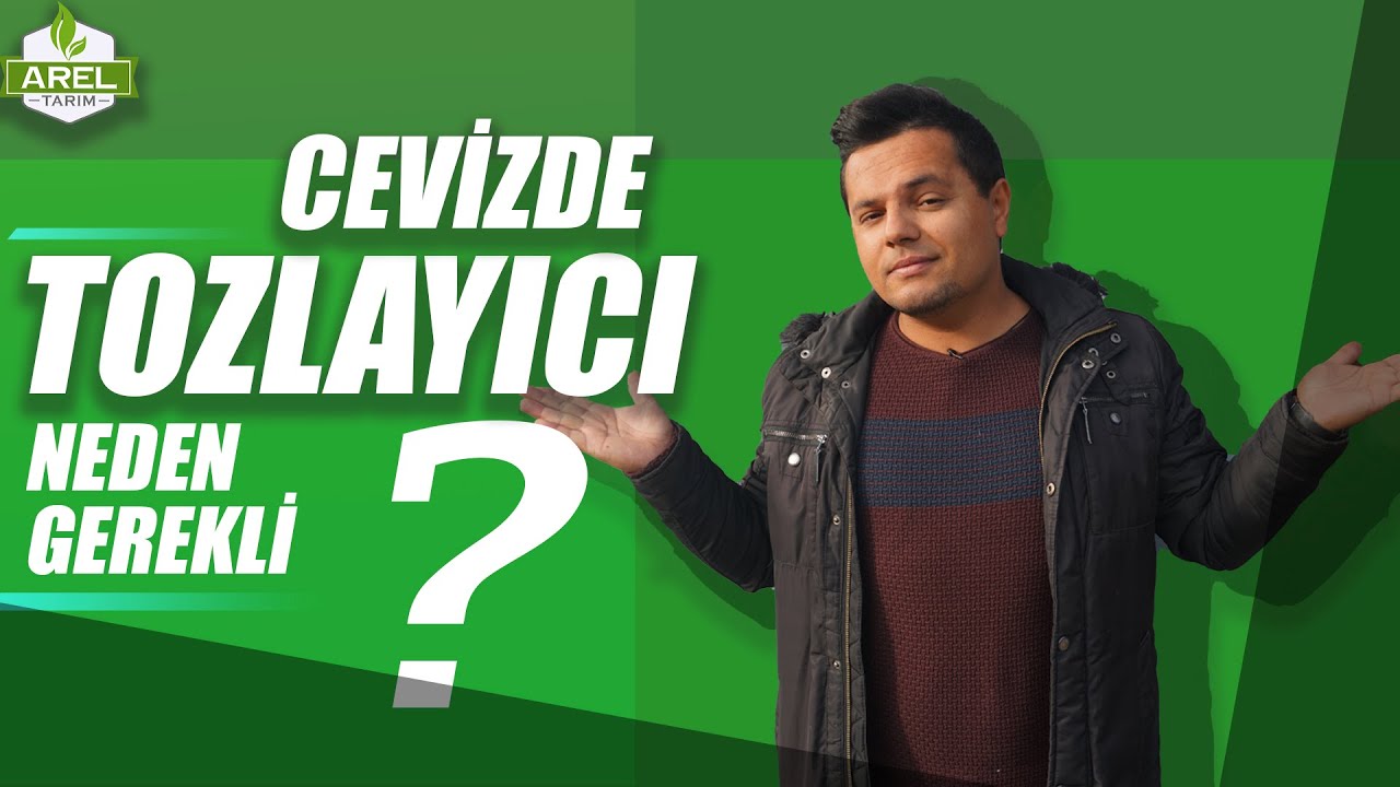 AĞAÇLAR NEDEN TOZLAYCI ÇEŞİT İSTER ?