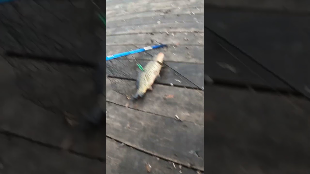 Забагрил / real life