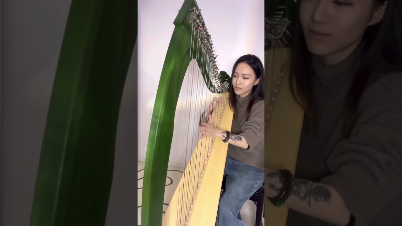 Cocorna-Alfredo Rolando Ortiz (harp)