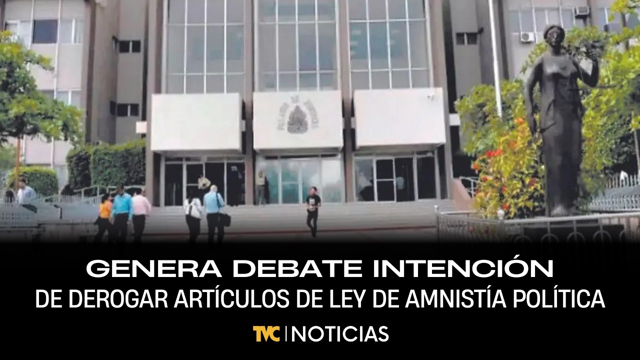Genera debate la intención de derogar artículos de ley de amnistía política