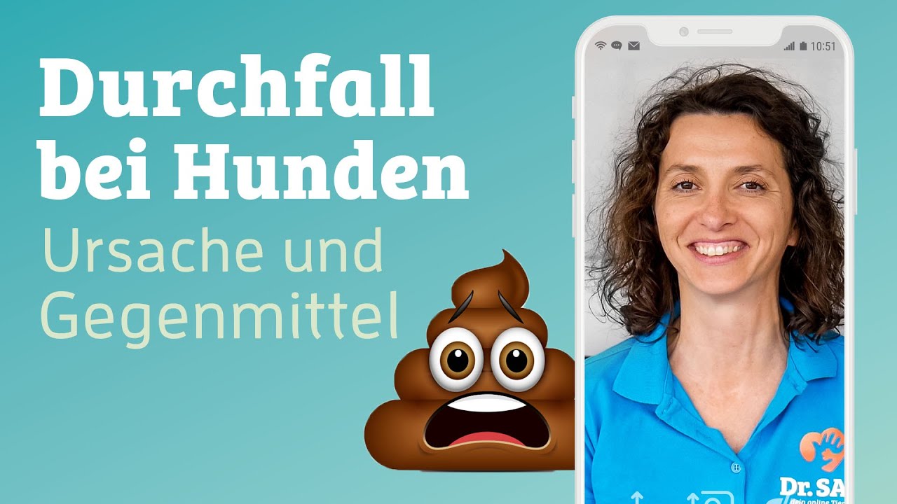 Durchfall bei Hunden 💩 | Dr. SAM - dein Online-Tierarzt