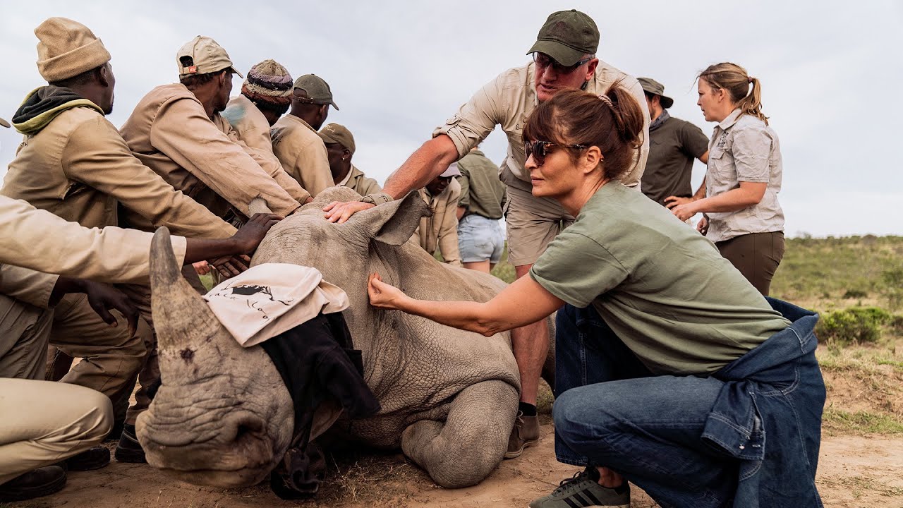 Helena Christensen x VETPAW