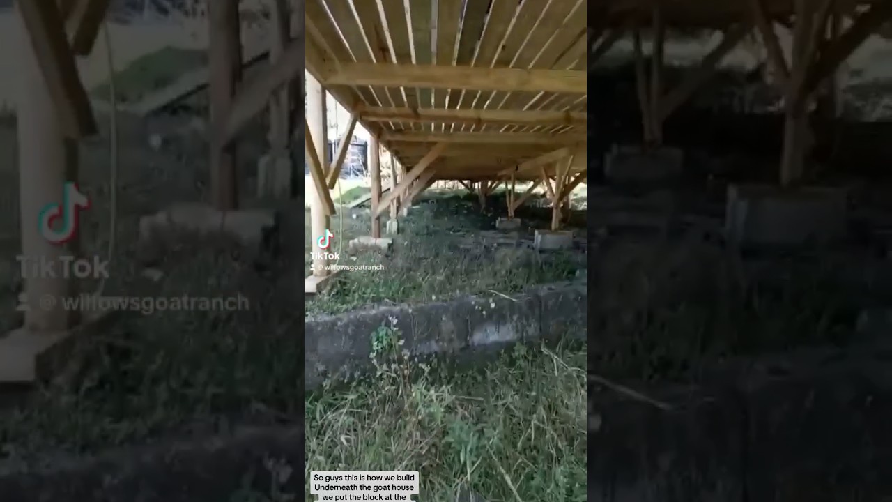 How We Build Underneath Goat House