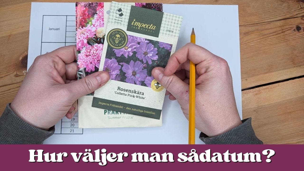 Så här väljer jag sådatum!
