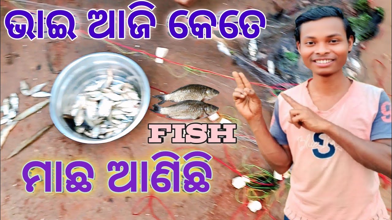 ଭାଇ ଆଜି କେତେ ମାଛ ଆଣିଛି || #bhai aaji kete machha abani chhi || @Dakuavlogs1999 #odisha 