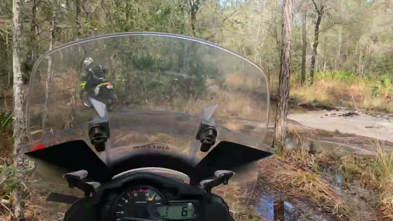 Richloam Dualsport 1 16 22
