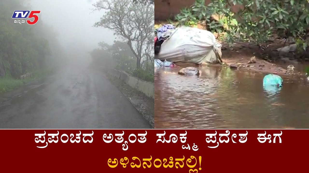 ಪ್ರಪಂಚದಲ್ಲೇ ಅತ್ಯಂತ ಸೂಕ್ಷ್ಮ ಪ್ರದೇಶ ಅಳಿವಿನಂಚಿನಲ್ಲಿ! | Netravati river | Chikkamagalur | TV5 Kannada