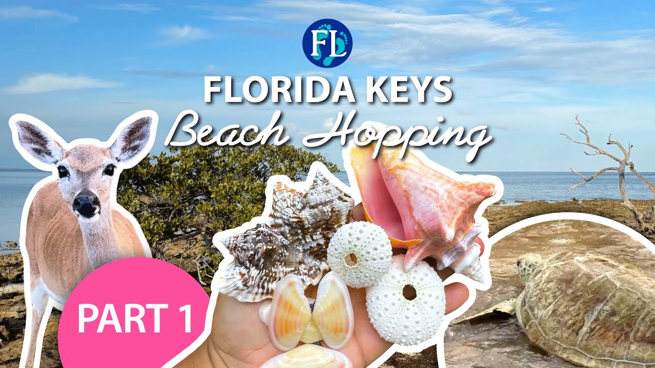 Part 1: Looking for Shells Beach Hopping in the Florida Keys