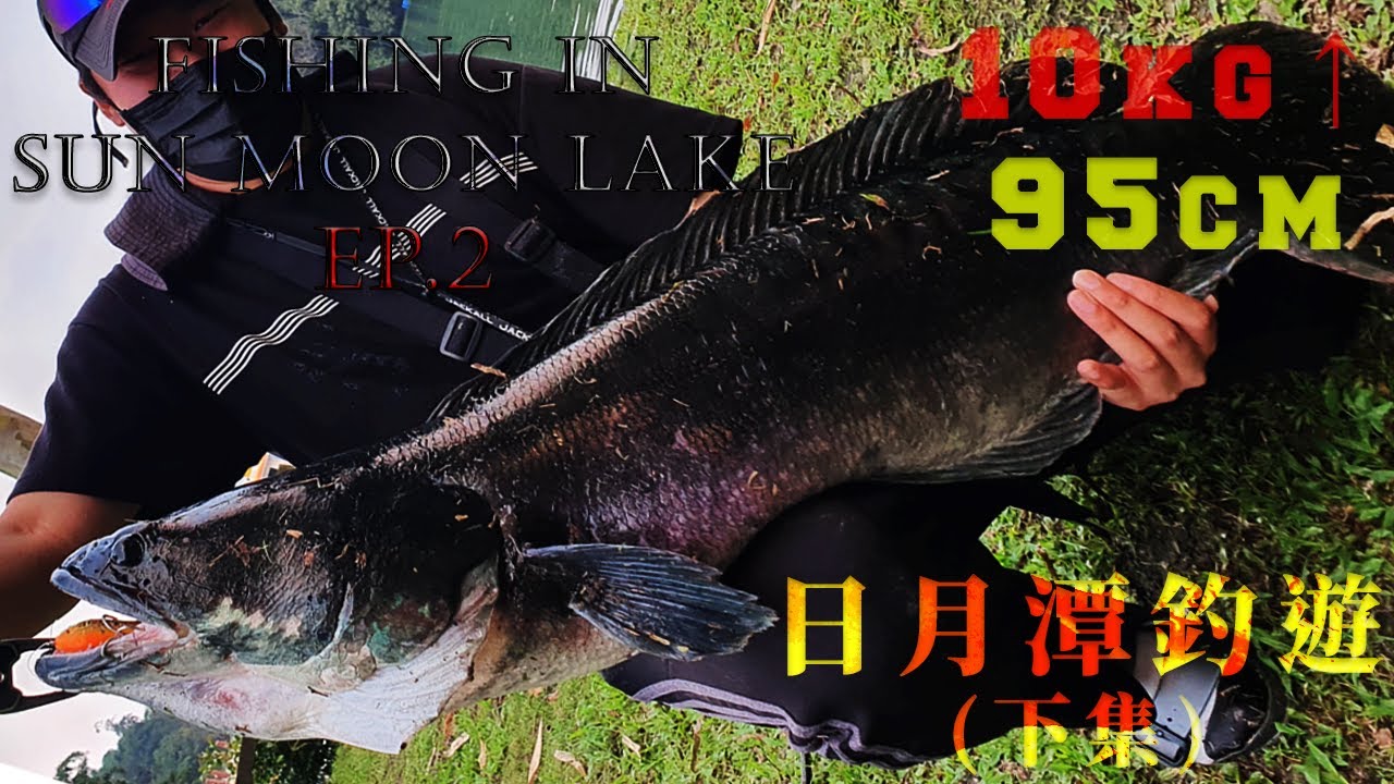 [淡水路亞]日月潭巨型魚虎最終戰役EP.2 耐心研究與經驗累積終於在這天夢想成真！Lure Fishing For Snakehead in Sun Moon Lake The in Taiwan