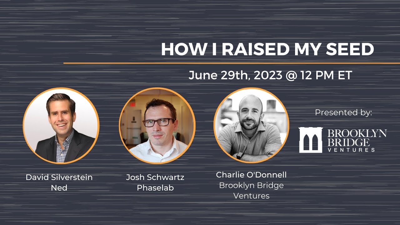How I Raised My Seed (David Silverstein of Ned & Josh Schwartz of Phaselab)