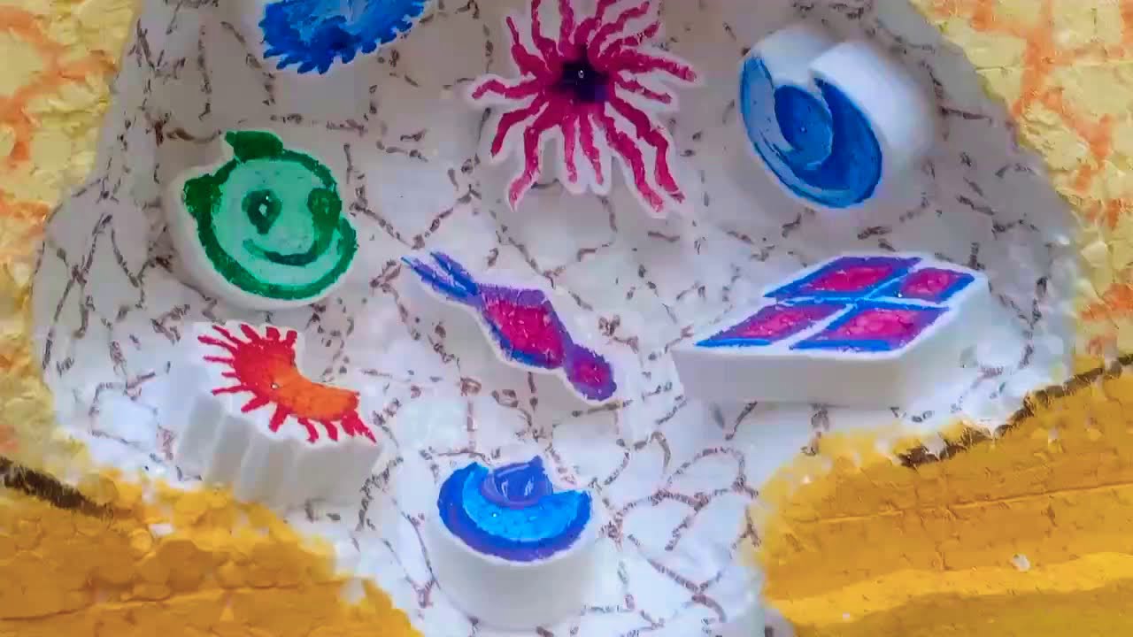 School Project - Human Cell Model