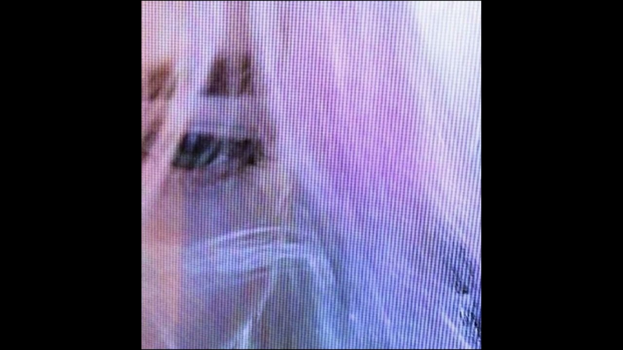 ✶deftones ✶ heavy shoegaze ✶ alternative rock type beat ✶ 