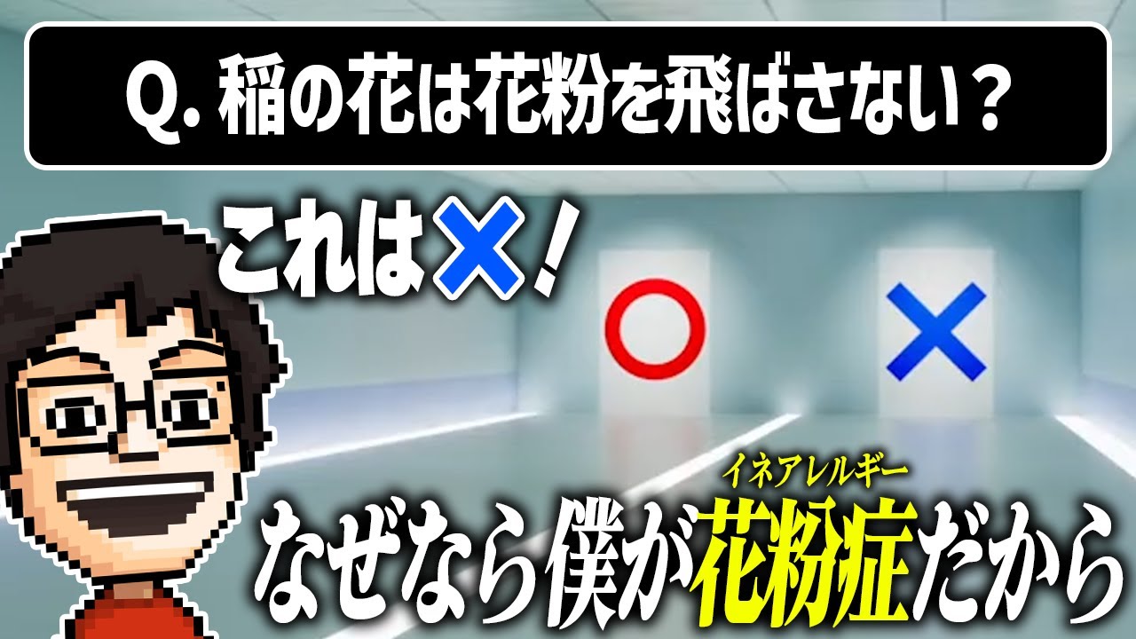 テニスと数学とイネ花粉以外の知識が壊滅的なP-Pが挑む〇×クイズ