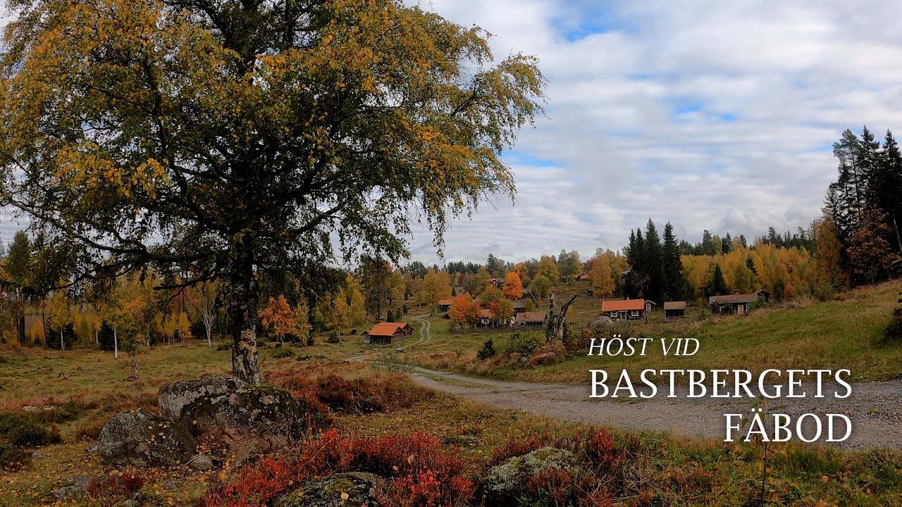 Höst vid Bastbergets fäbod