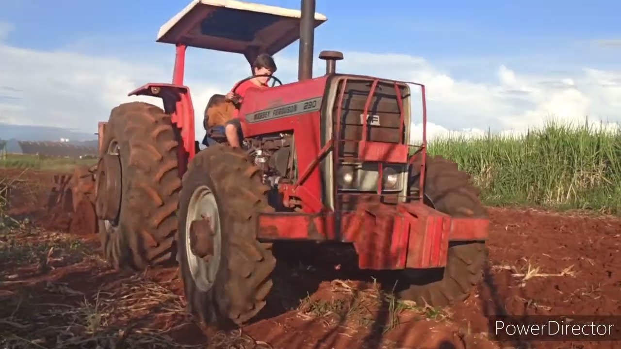 MASSEY FERGUSON 290//DEPOIS DE POLIDO//GRADEANDO