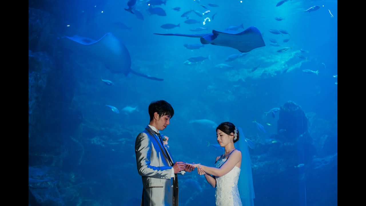 京都水族館フォトウエディング_クリエイトウエディング