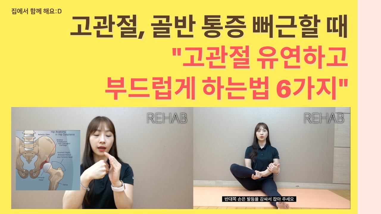 고관절 가동성 늘리기,고관절 유연성,고관절 스트레칭 초보,고관절 부드럽게
