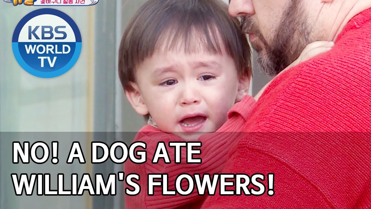 No! A dog ate William's flowers! [The Return of Superman/2020.03.15]
