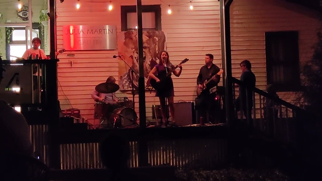 The Silver Jews perform 
