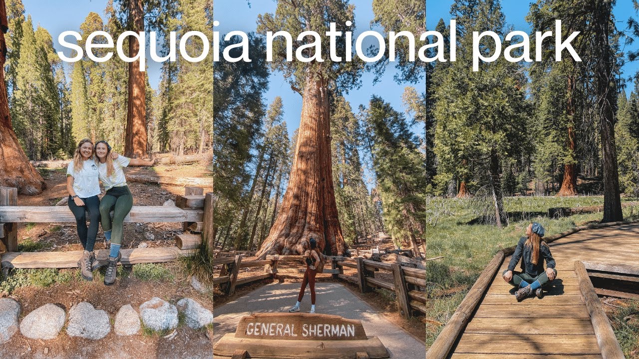 6 Hours in Sequoia National Park - Moro Rock, General Sherman Tree, Tunnel Log // Lost Girls Travel