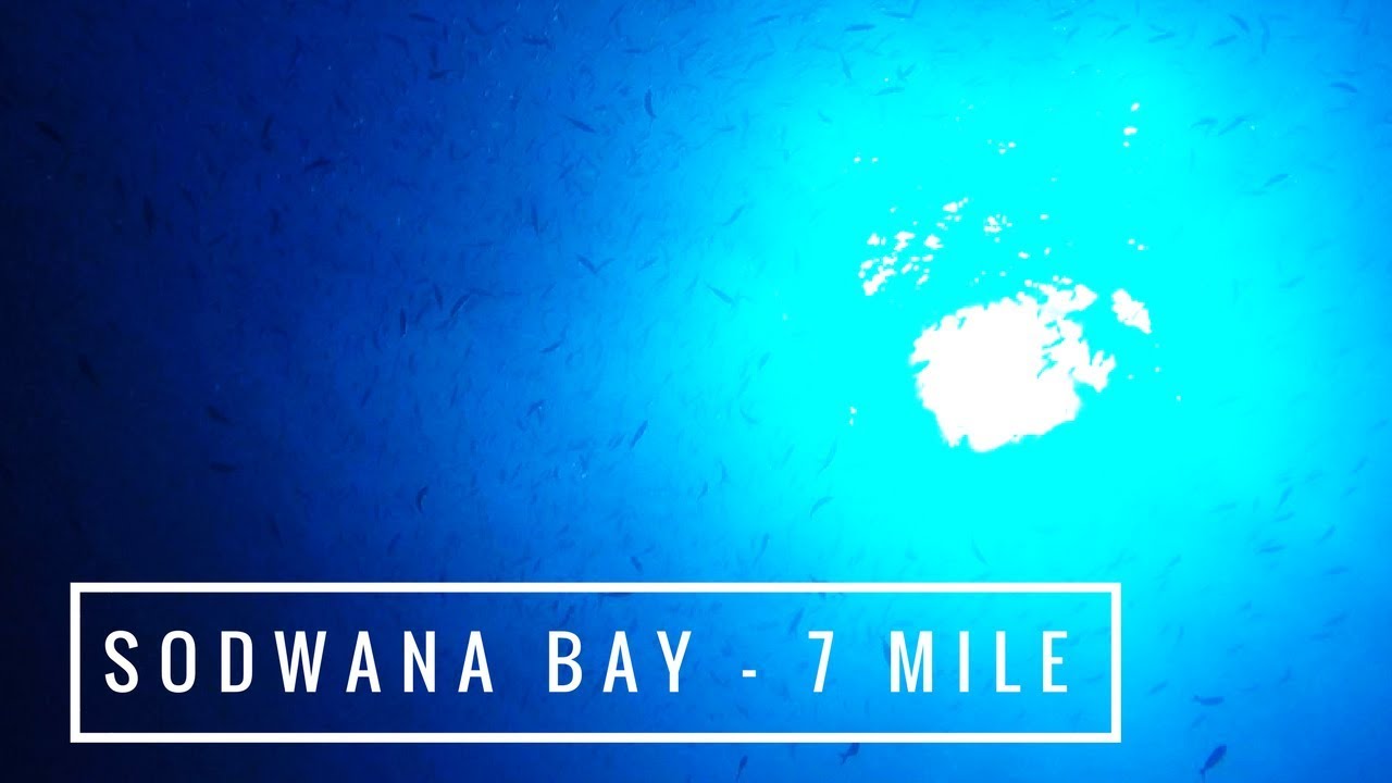 Sodwana Bay - 7 and 9 mile