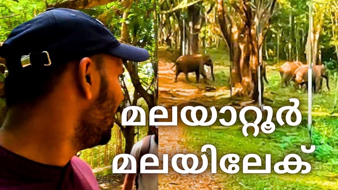 Malayattoor/മലയാറ്റൂർ മലയിലേക്