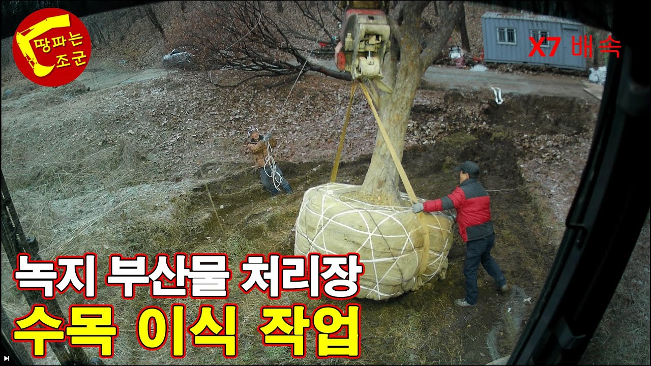 녹지 부산물 처리장 수목 이식 작업