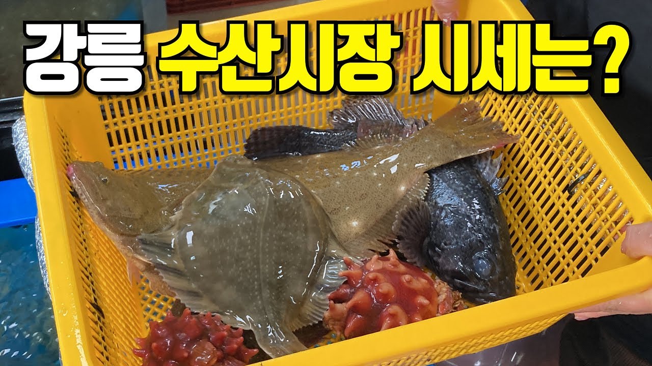 강릉 안목해변 수산시장 강릉항 회센터!! 다들 너무 친절하고 재미있으시네요ㅎㅎ