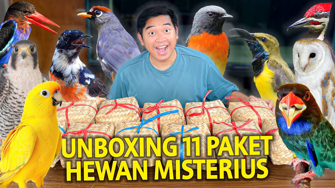 UNBOXING 11 PAKET HEWAN MISTERIUS RANDOM! APAKAH ISINYA AKAN MENGAGETKAN AKU?!