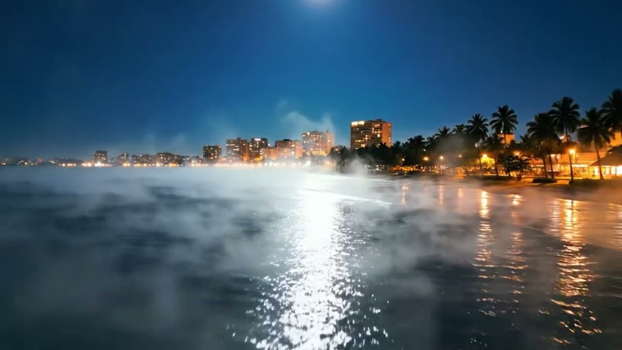 Moonlight Dreams | Deep House Mix 2026 | Ambient Beach Vibes EDM Chill Music