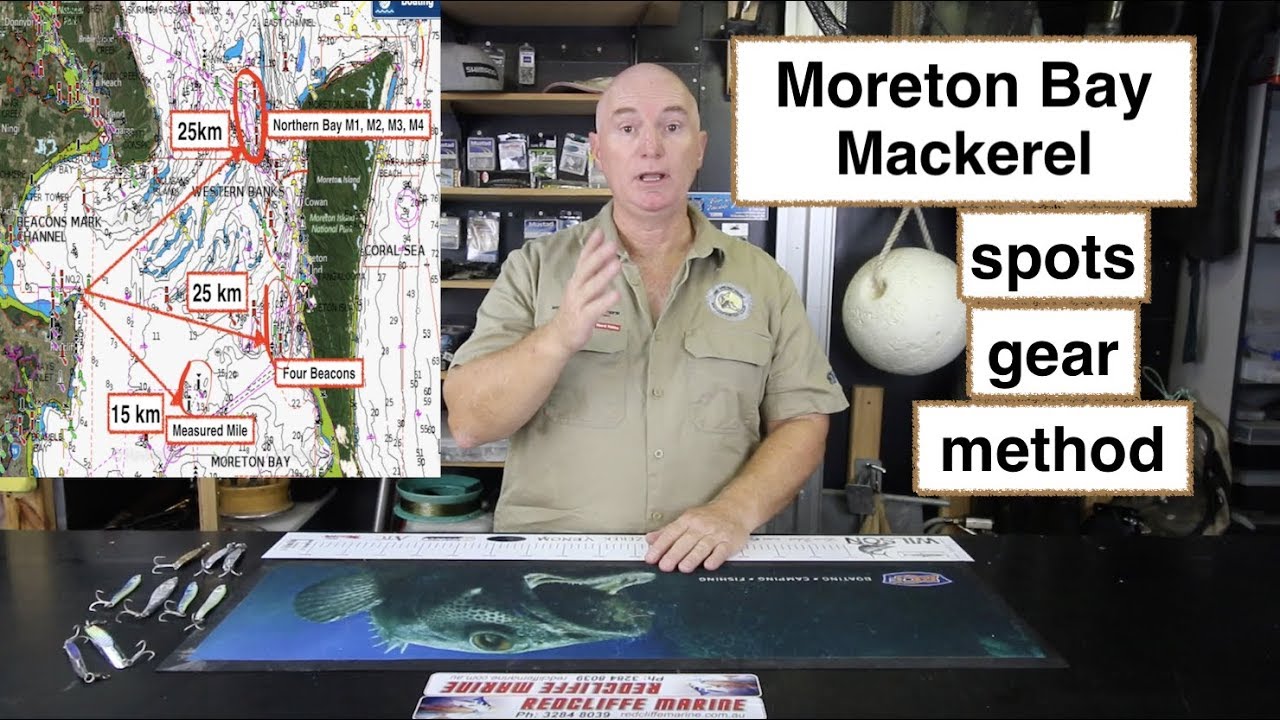 MACKEREL FISHING, spots, gear and methods.