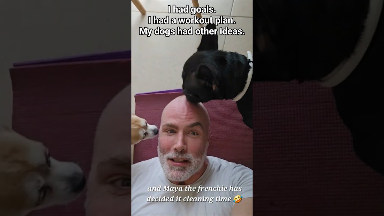 This is what “working out at home” really looks like around here 😂🐾