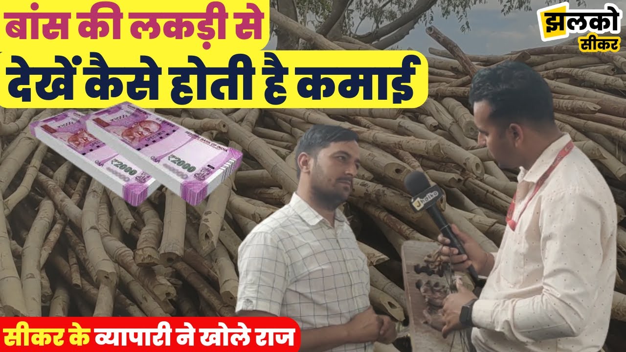 सीकर के व्यापारी ने खोले बांस की लकड़ी के राज, देखें कैसे होती है कमाई ~ Sikar News