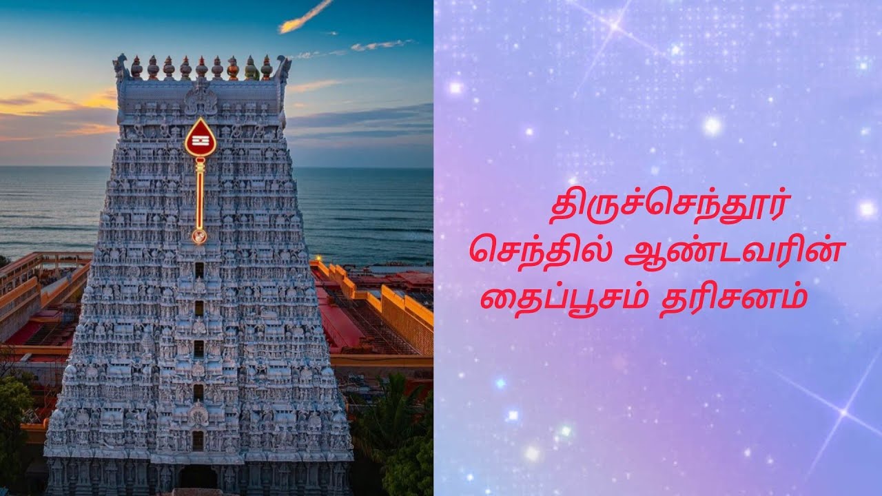 திருச்செந்தூர் செந்தில் ஆண்டவரின் தைப்பூசம் தரிசனம் #trending #tamil #muruga 