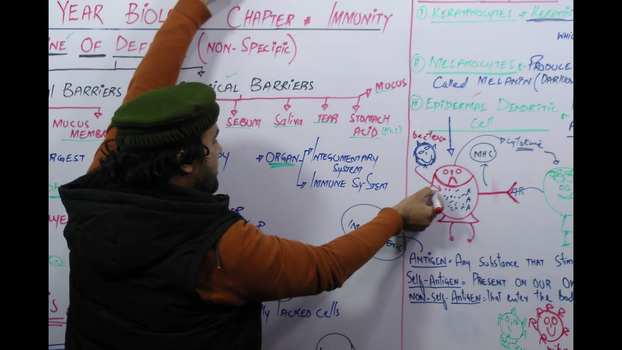 1st Line of defense ( part 1 ) | Lecture # 2 | 1st year biology | Lecturer Sajjad khan |