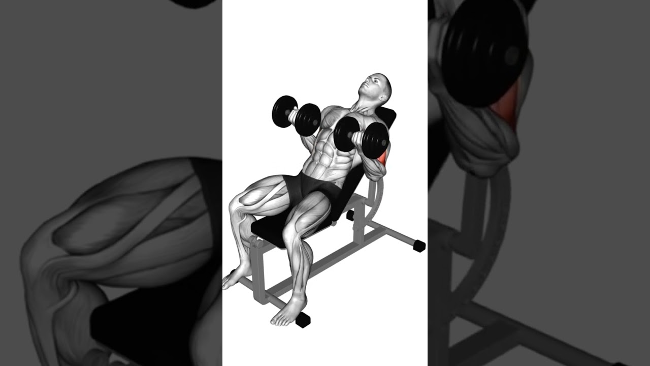 SO trainierst du deine Arme nur mit Kurzhanteln #armtraining #bizeps #trizeps  #trainingstipps