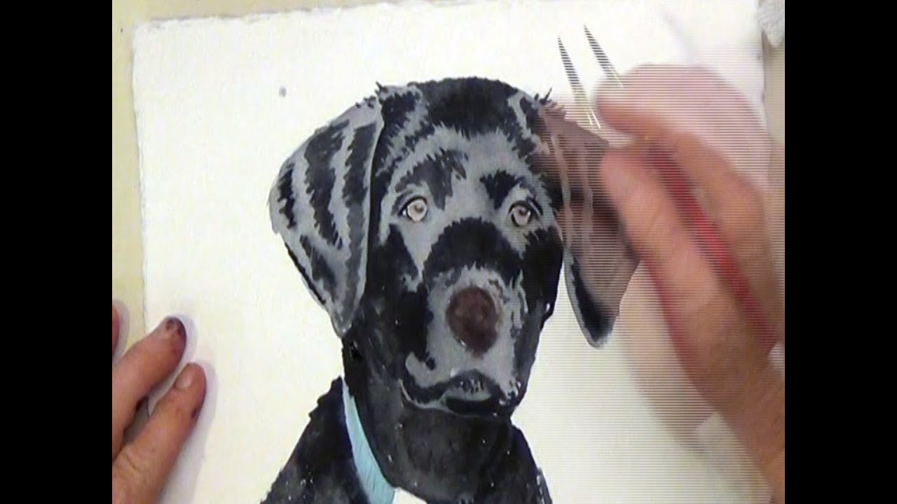 How To Paint A Black Dog With Watercolor