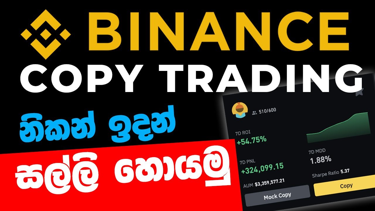 BINANCE COPY TRADING Full Review 2024 | Spot Copy trading and Futures Copy Trading