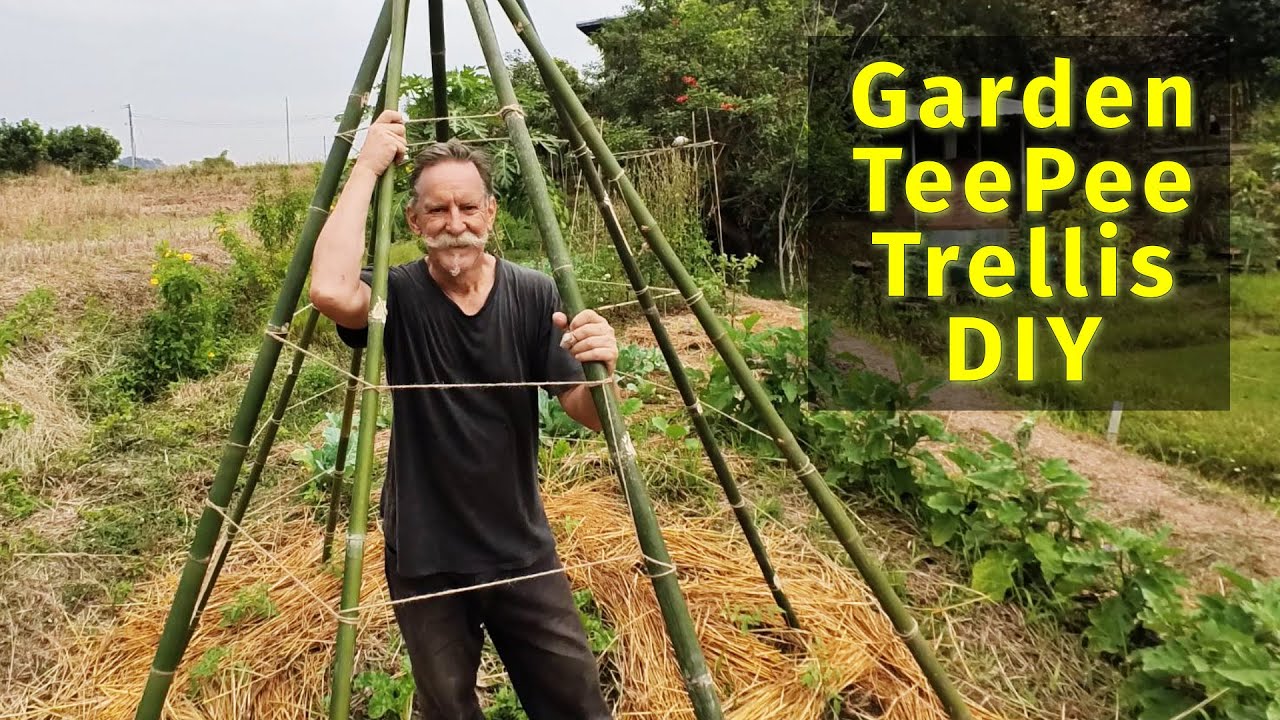 How-to Make a Teepee Trellis for Tomatoes