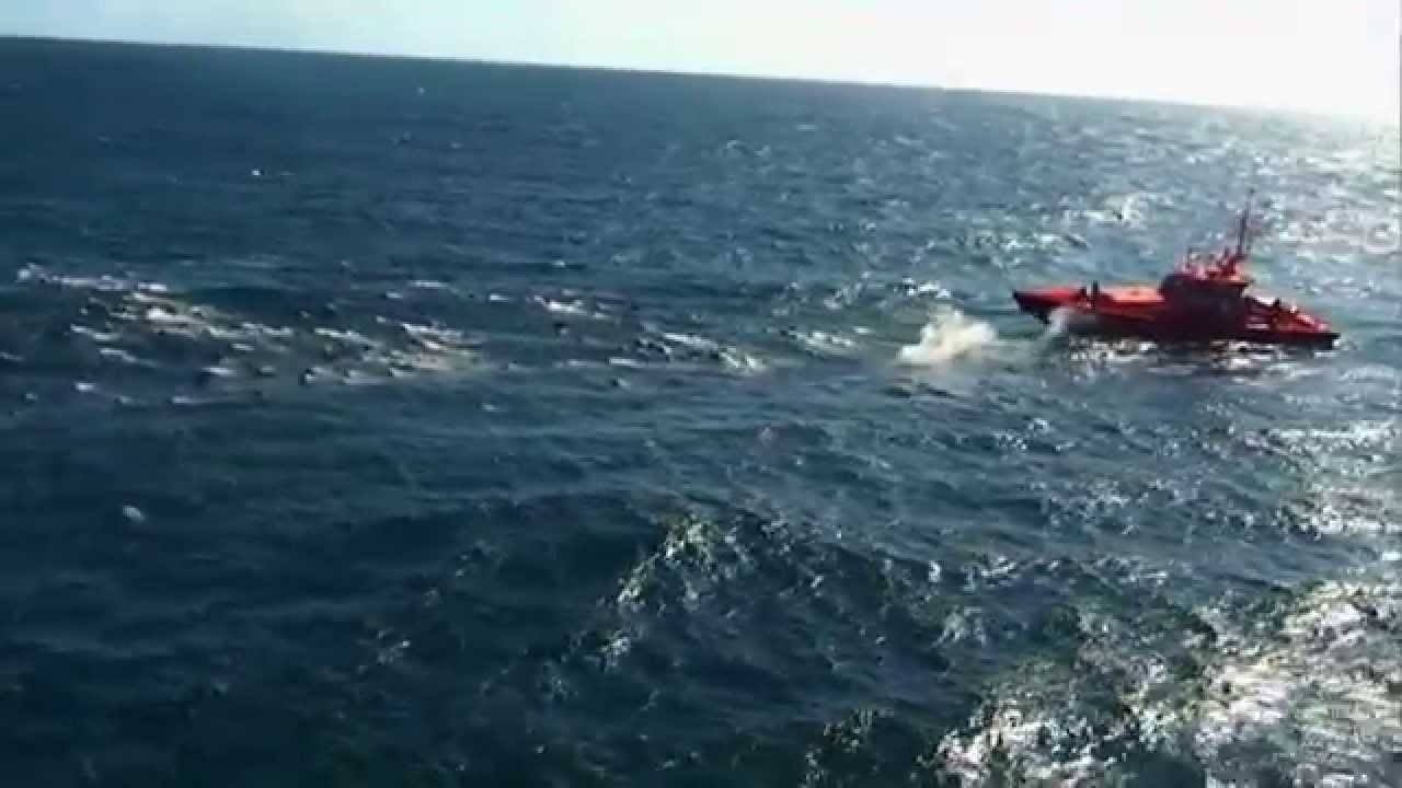 Volcán submarino de El Hierro  - Vídeos inéditos HD I