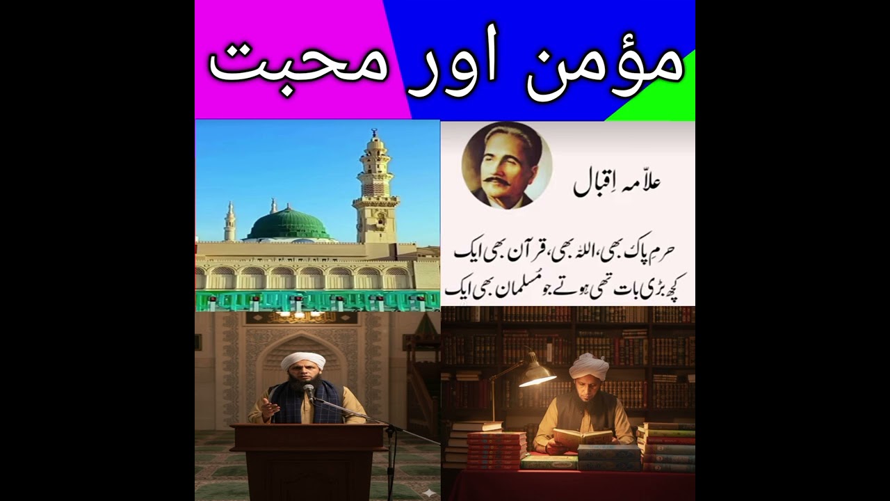 مؤمن اور محبت