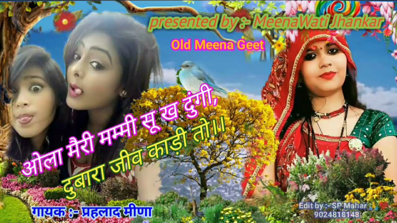 दिलवर झाकर डौडो हटगो काई बड़ बैडगो तेर।। पुराने मीणा गीत/ प्रहलाद मीणा ❤️