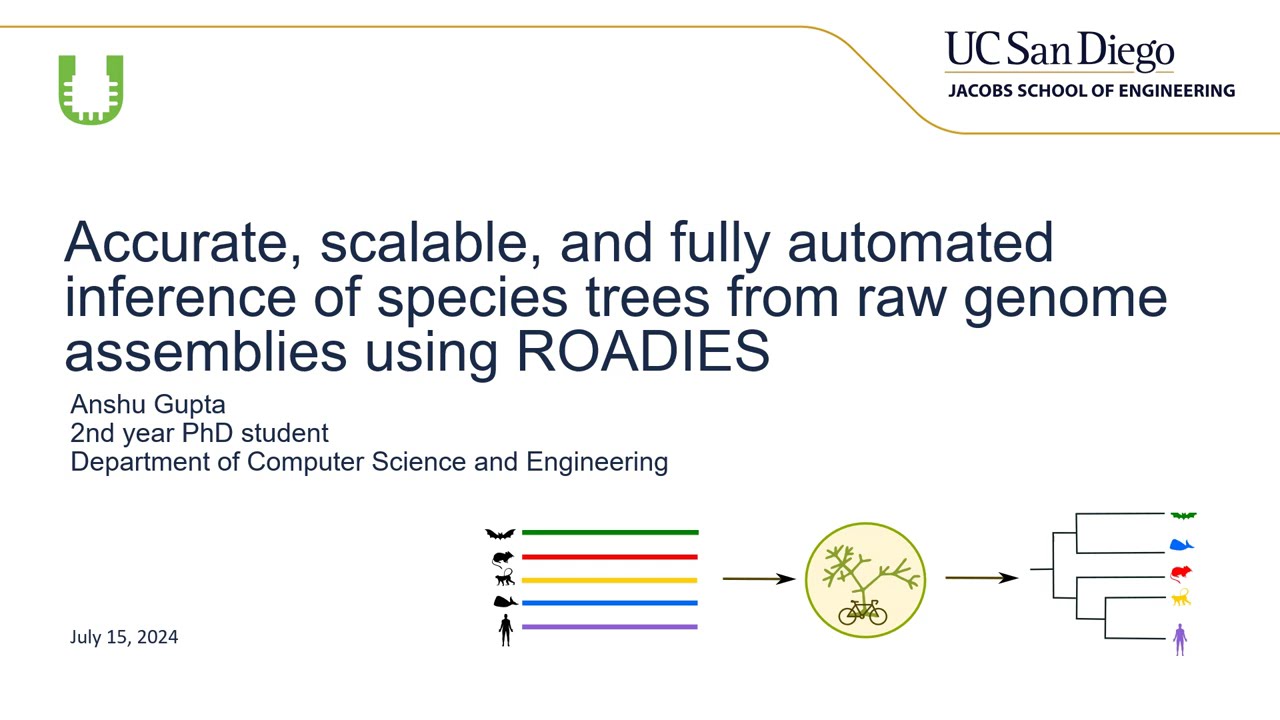 ROADIES - A fully-automated tool for species tree inference from raw genome assemblies