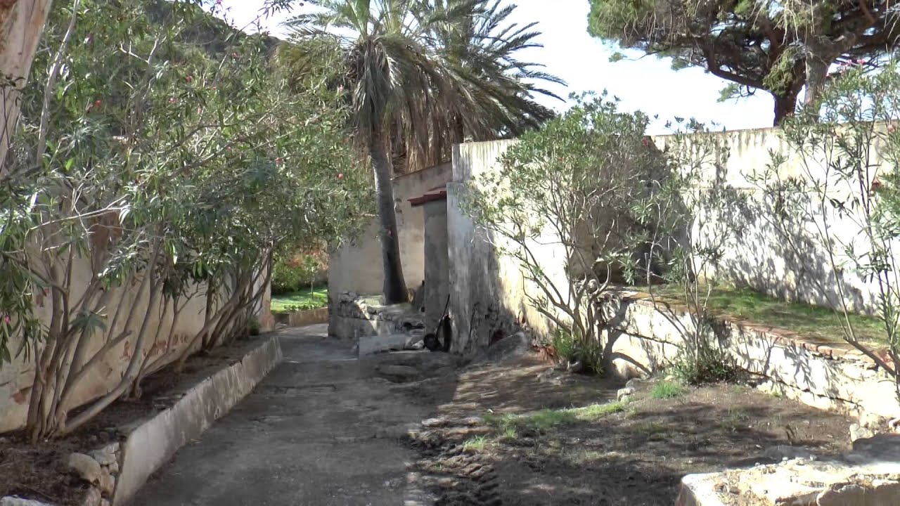 Isola di Montecristo