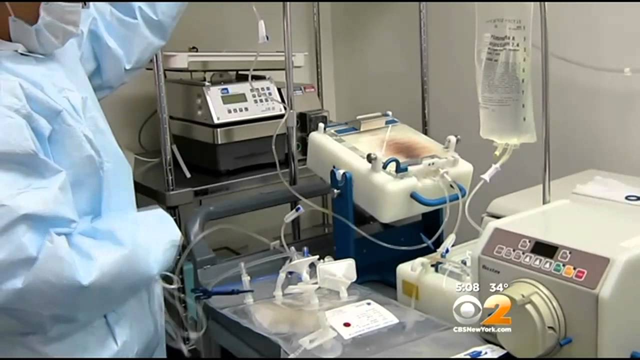 Dr. Max Gomez: HIV Gene Therapy