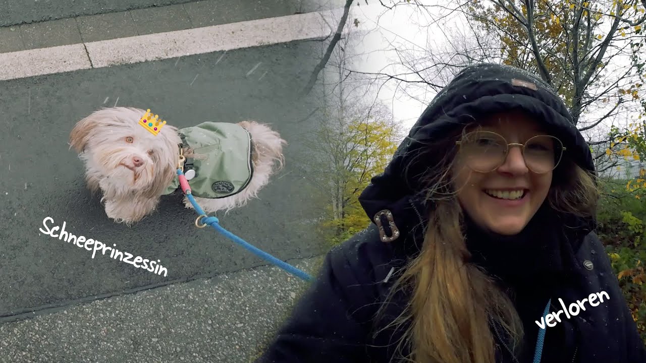 Halluzinierend im Schneesturm ❄️ & Sooo viel Filz... 😪 Vlog | Hundealltag mit Havaneser